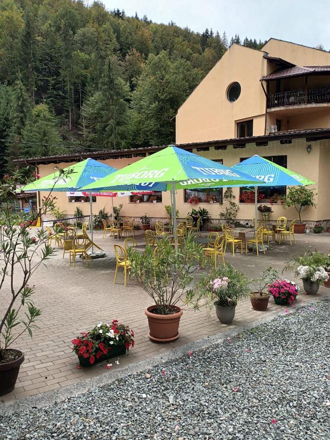 Pension Onelia Ґирда-де-Сус Екстер'єр фото
